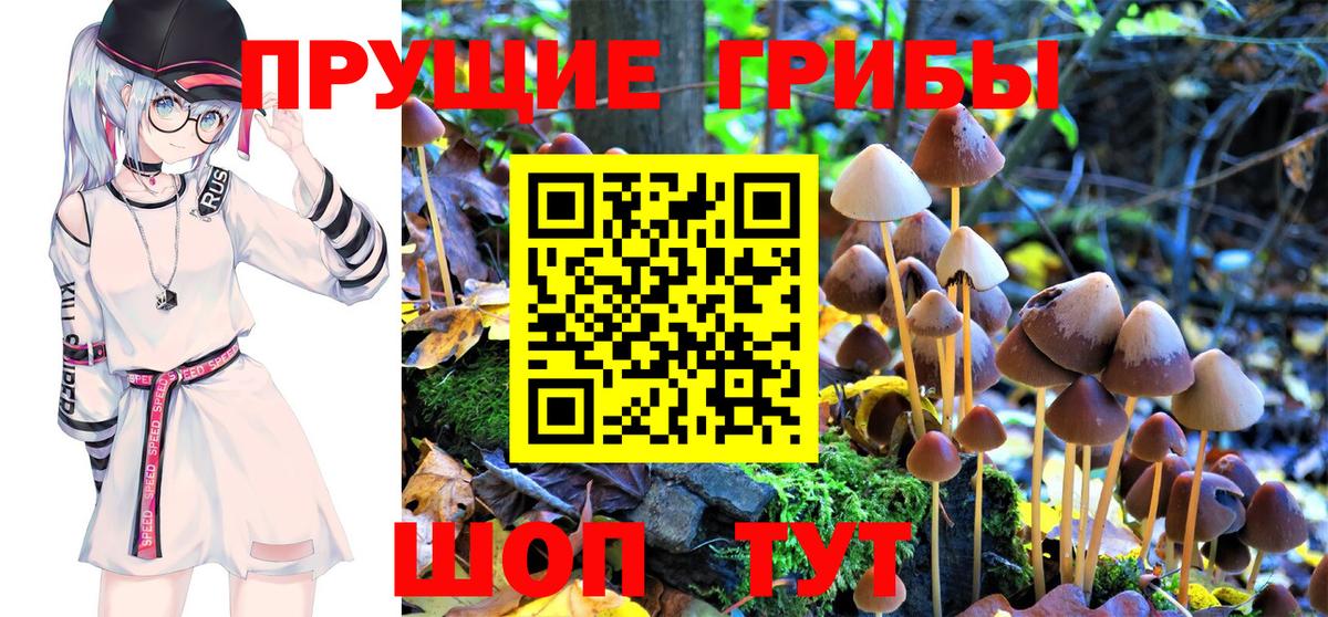 Галлюциногенные грибы Psilocybine cubensis Воскресенск